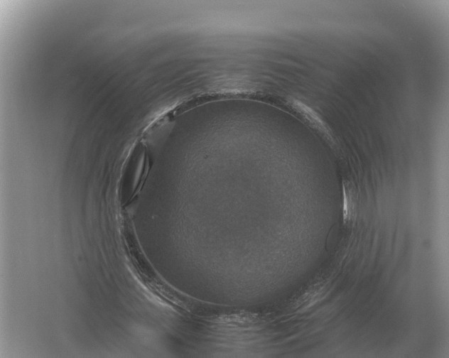 X0000064770627200602241955