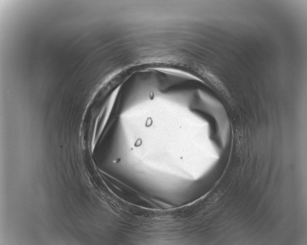 X0000064770628200602241955