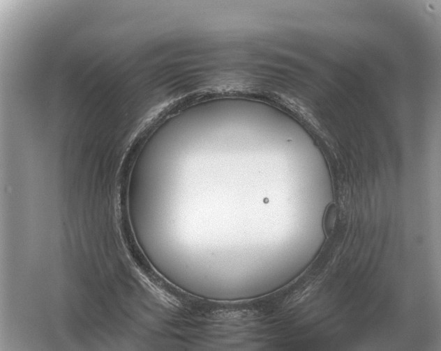 X0000064770629200602241955