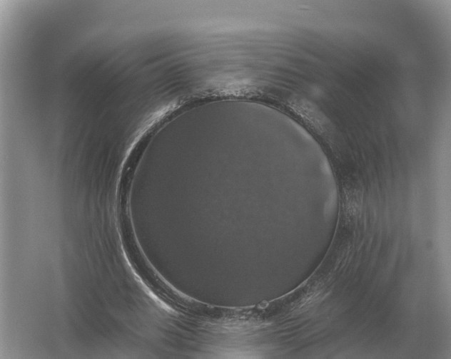 X0000064770630200602241955