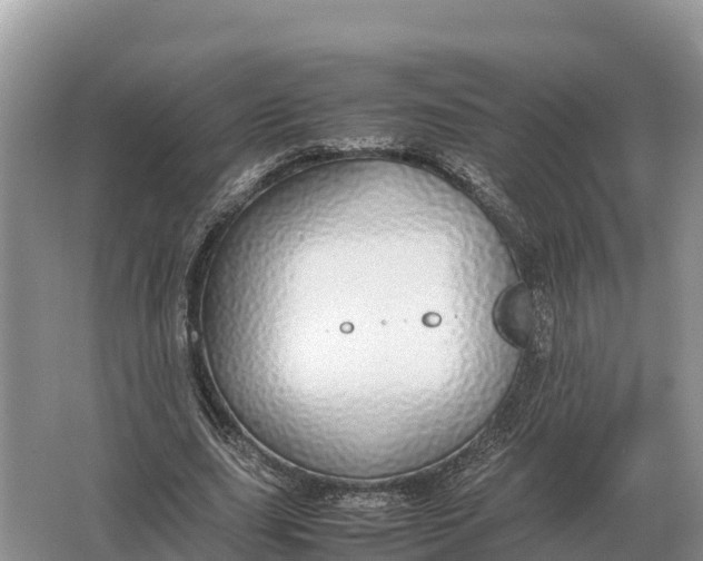 X0000064770631200602241955