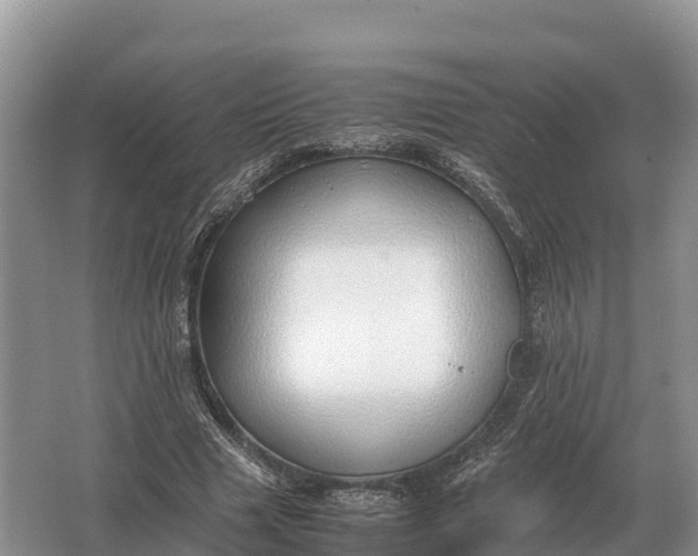 X0000064770633200602241955