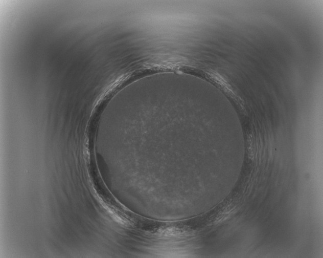 X0000064770634200602241955