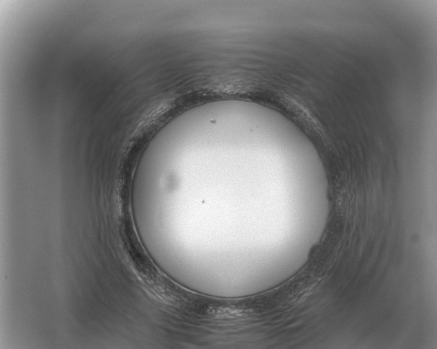 X0000064770635200602241955