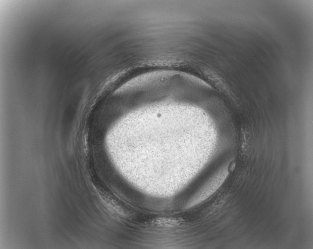 X0000064770636200602241955