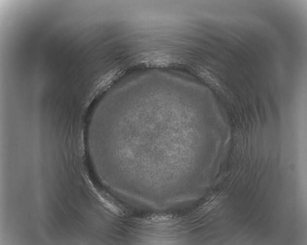 X0000064770638200602241955