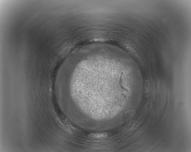 X0000064770639200602241955