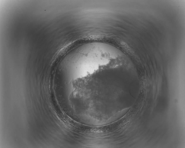 X0000064770640200602241955