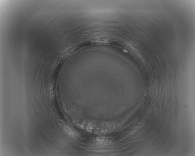 X0000064770641200602241955