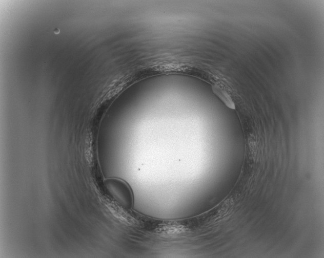 X0000064770642200602241955