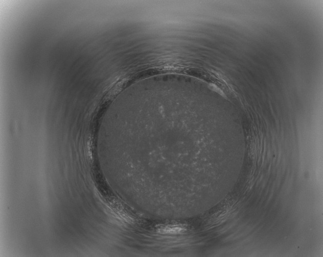 X0000064770643200602241955