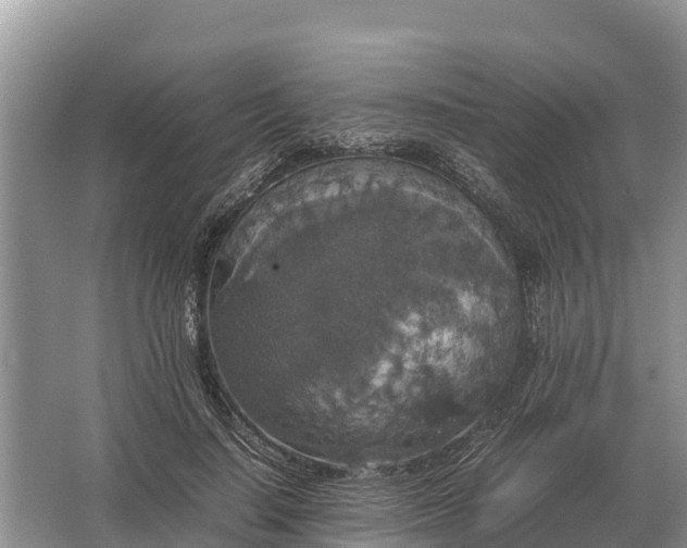 X0000064770644200602241955