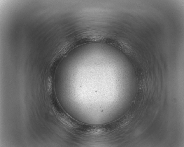 X0000064770646200602241955