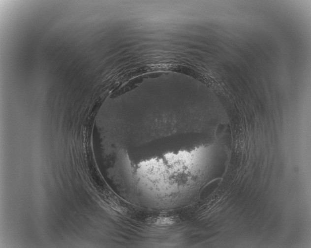 X0000064770647200602241955