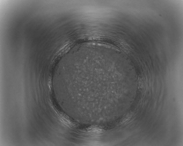 X0000064770648200602241955