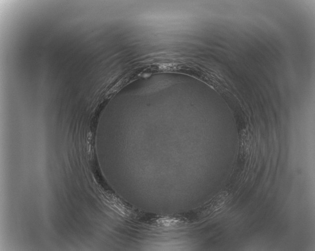 X0000064770650200602241955