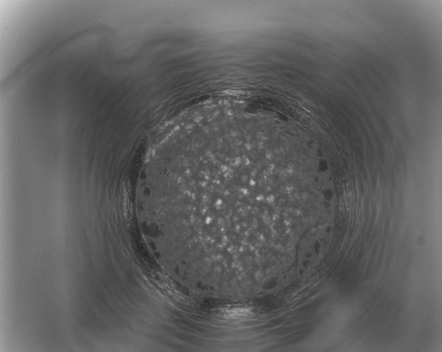 X0000064770651200602241955