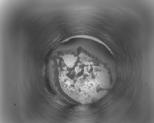 X0000064770652200602241955