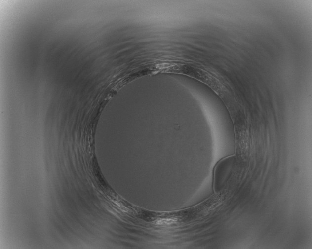 X0000064770653200602241955