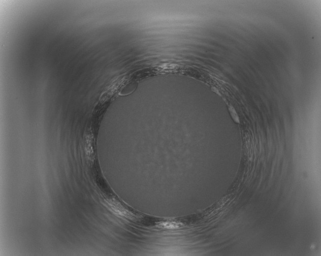 X0000064770654200602241955