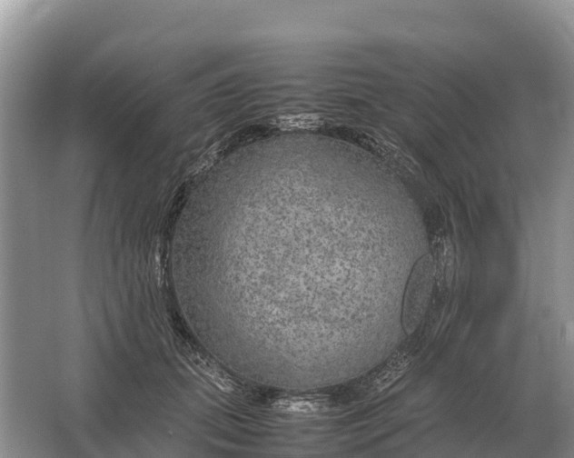 X0000064770655200602241955