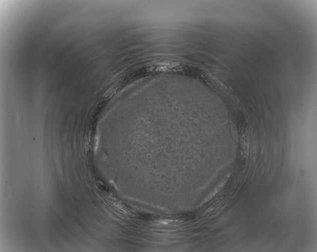 X0000064770657200602241955