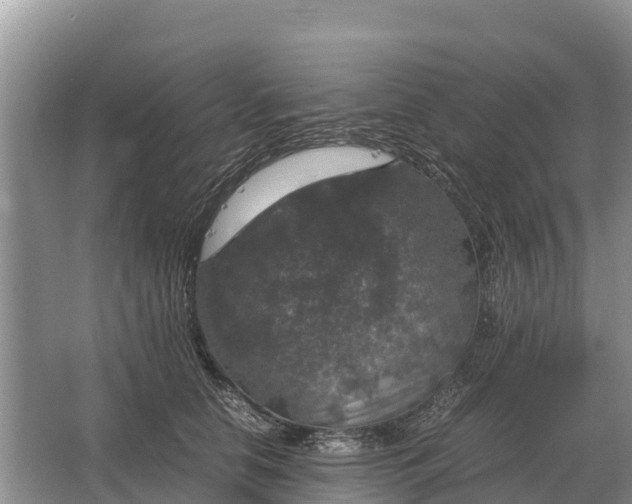 X0000064770658200602241956