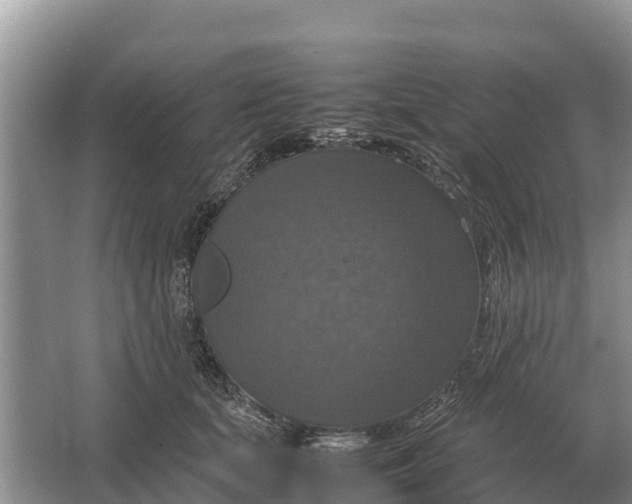 X0000064770659200602241956