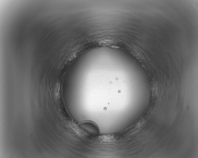 X0000064770660200602241956