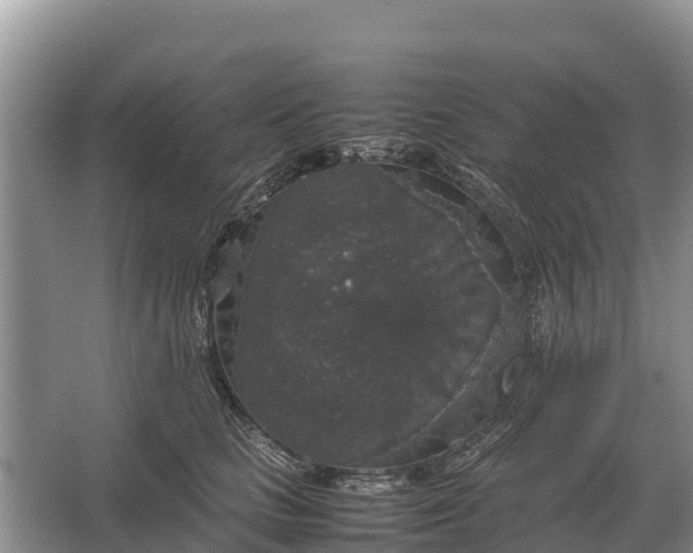 X0000064770661200602241956