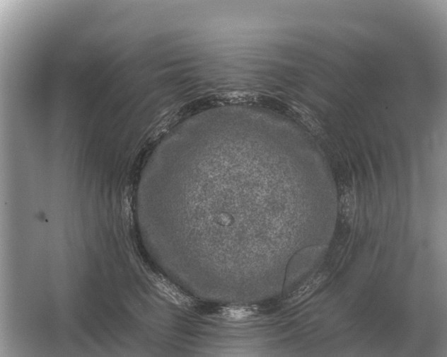 X0000064770662200602241956