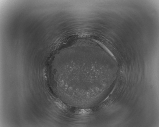 X0000064770663200602241956