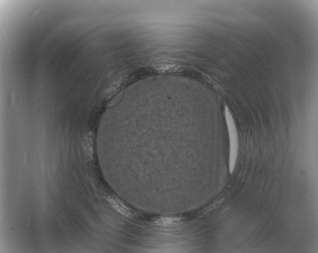 X0000064770664200602241956