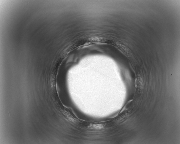 X0000064770665200602241956