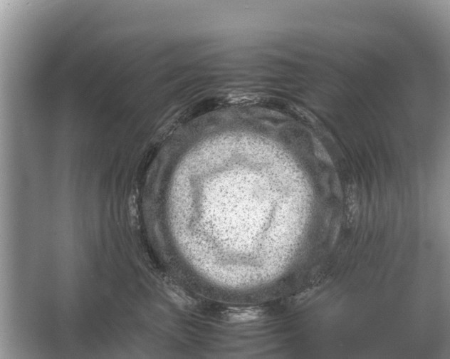 X0000064770667200602241956