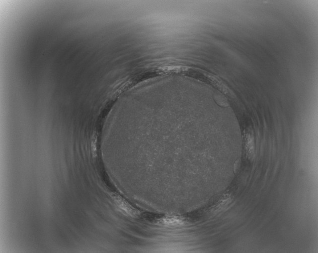 X0000064770668200602241956