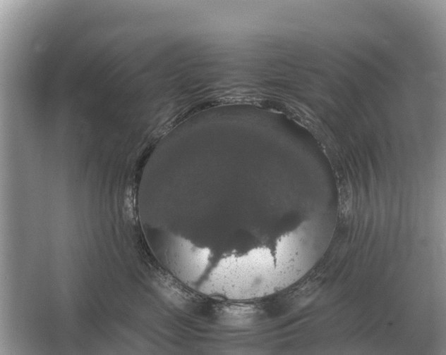 X0000064770669200602241956