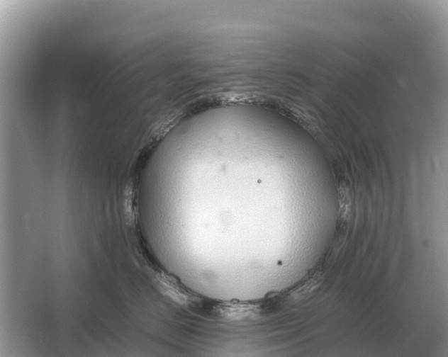 X0000064770670200602241956