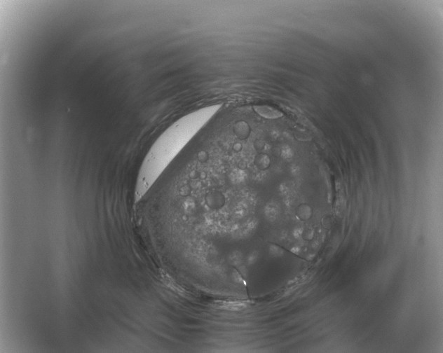 X0000064770671200602241956