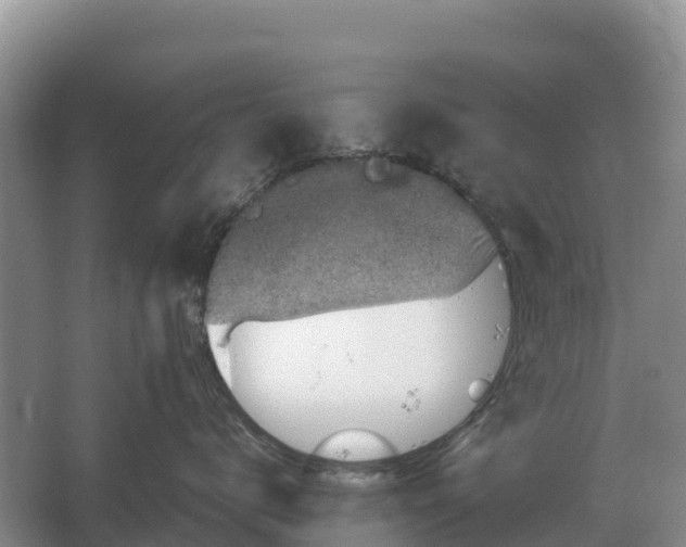 X0000064770672200602241956