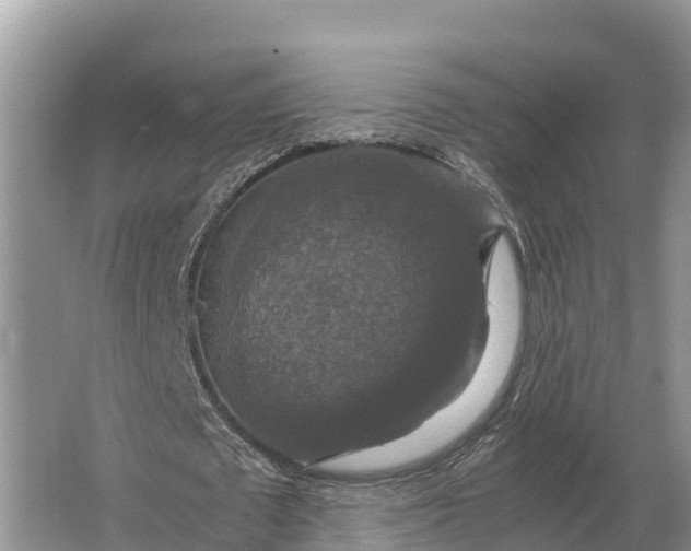 X0000064770673200602241955