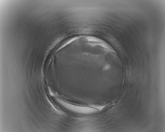 X0000064770674200602241955