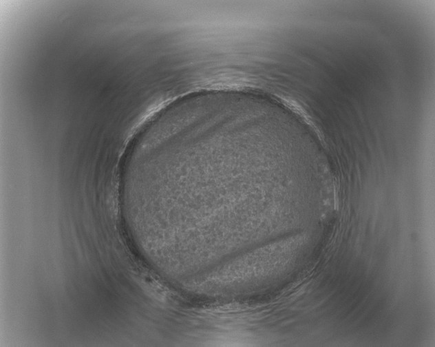 X0000064770675200602241955