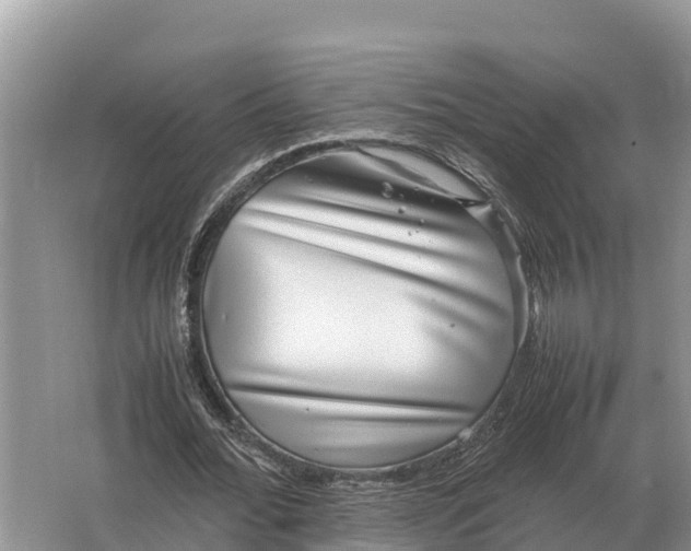 X0000064770676200602241955