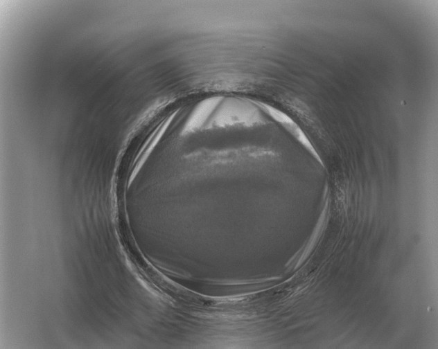 X0000064770678200602241955