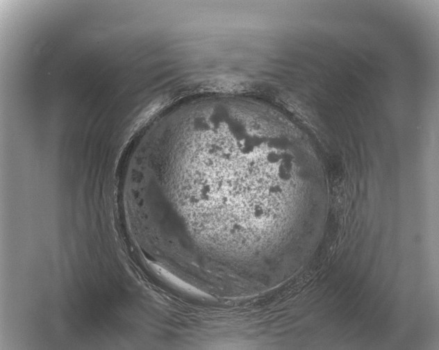 X0000064770679200602241955