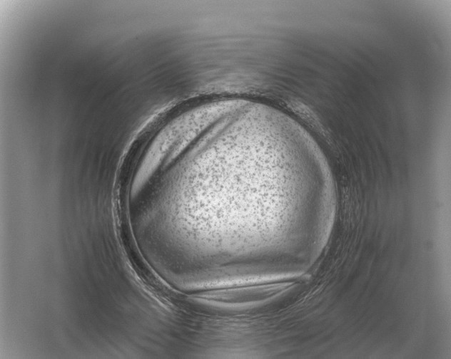 X0000064770680200602241954