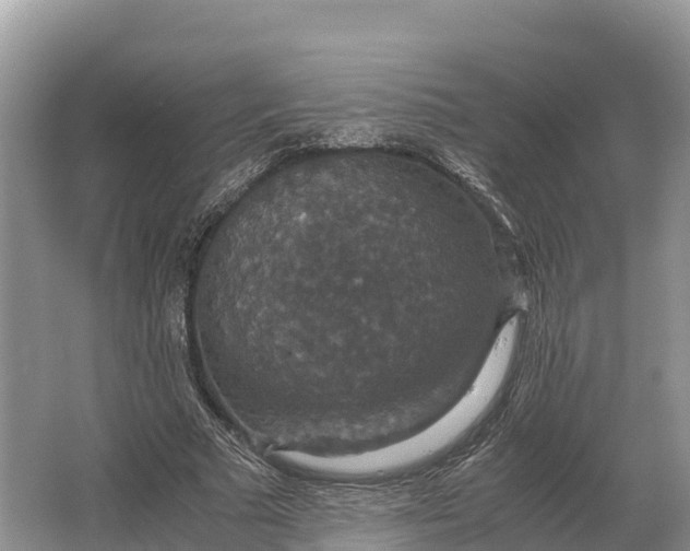 X0000064770681200602241954