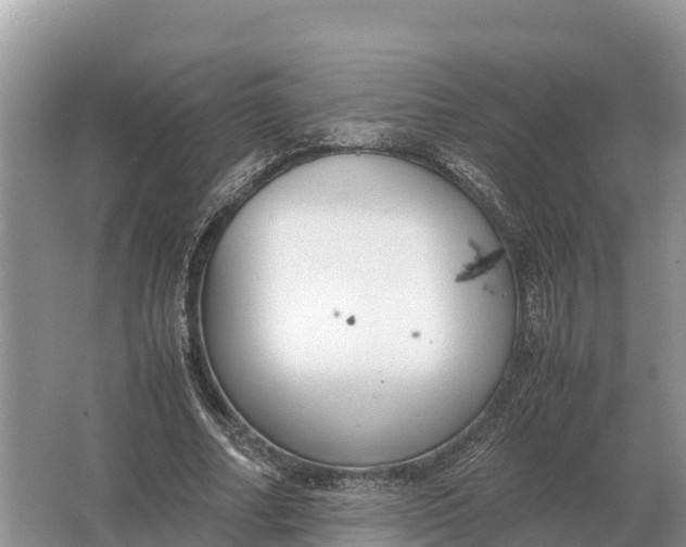 X0000064770682200602241954