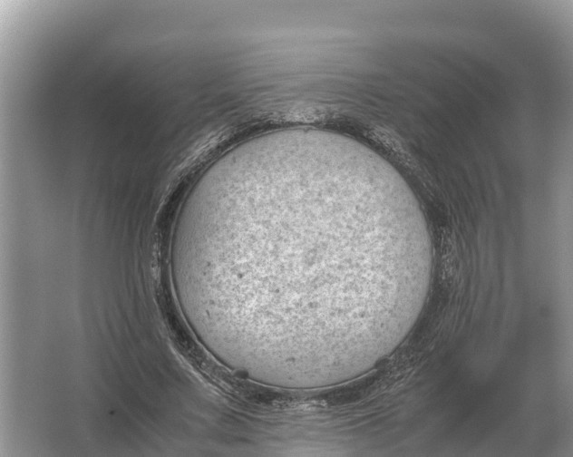 X0000064770683200602241954